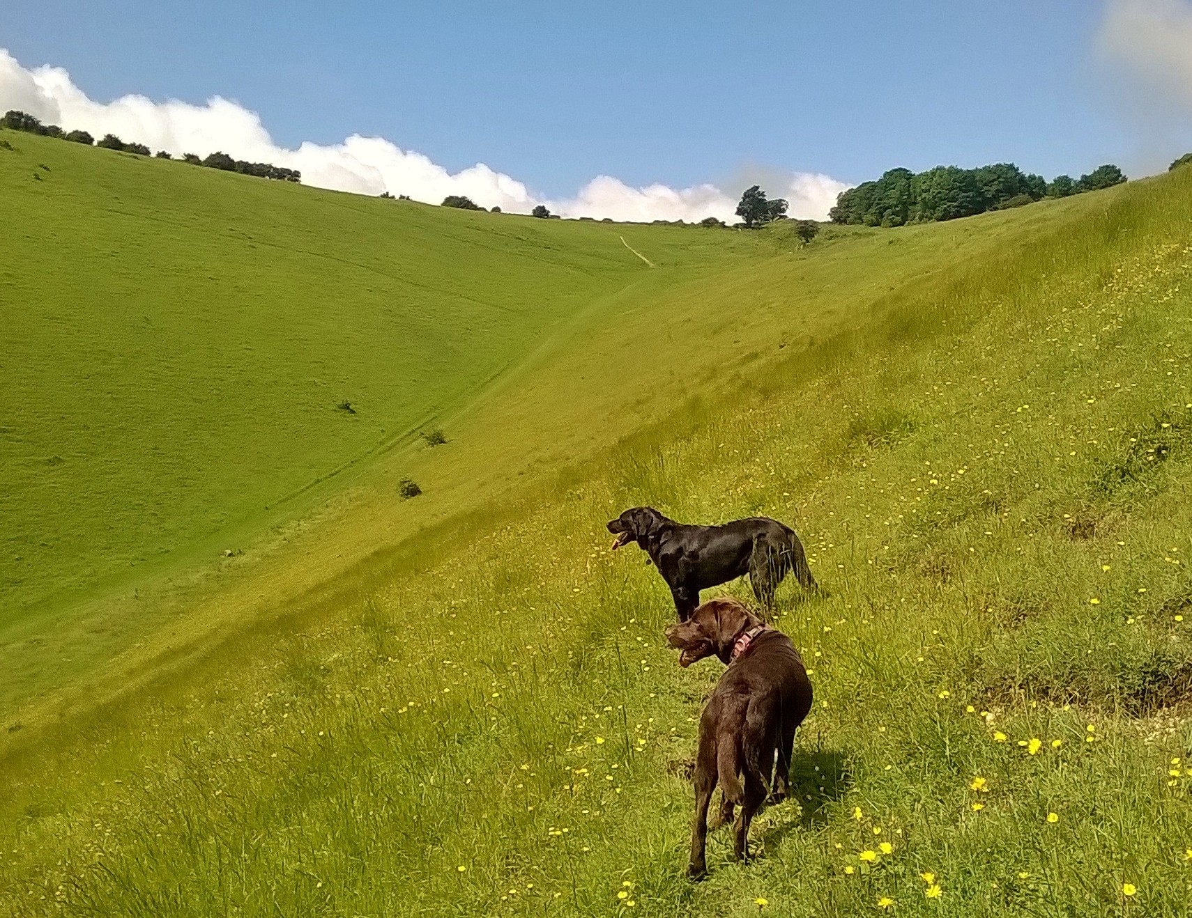 WP_20160624_10_44_05_Pro 1(1)